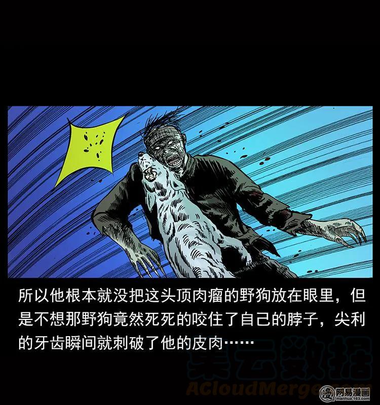 幽冥诡匠 151 京西烧骨塔（下） 第69页
