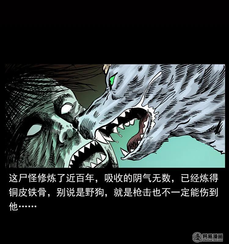 幽冥诡匠 151 京西烧骨塔（下） 第68页