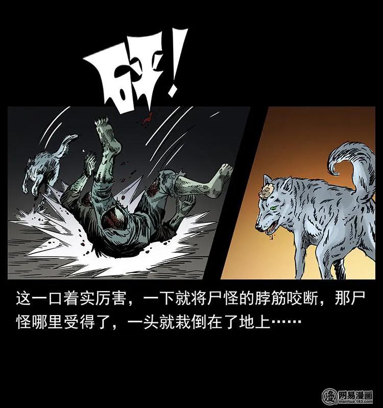 幽冥诡匠 151 京西烧骨塔（下） 第71页