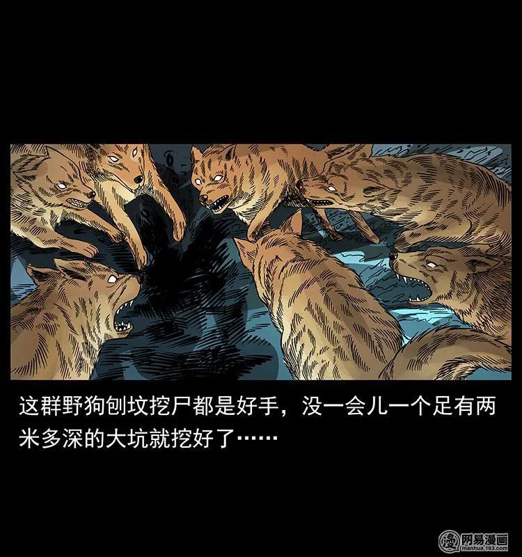 幽冥诡匠 151 京西烧骨塔（下） 第64页