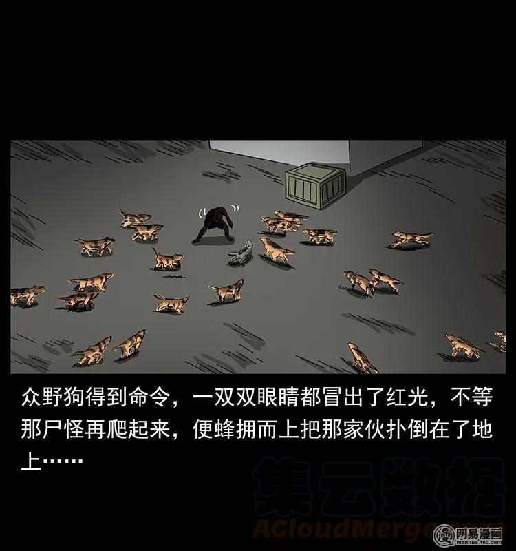 幽冥诡匠 151 京西烧骨塔（下） 第73页