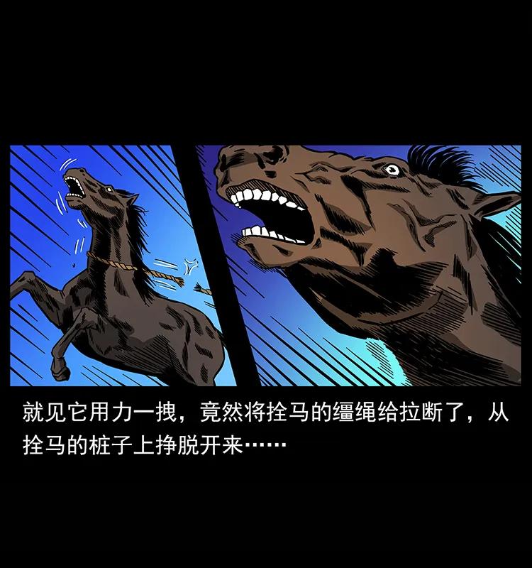 幽冥诡匠 157 妖驹驮尸 第28页