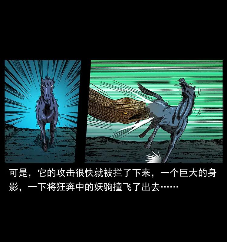 幽冥诡匠 158 妖驹的选择 第46页
