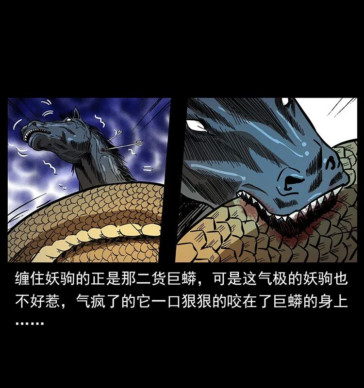 幽冥诡匠 158 妖驹的选择 第48页