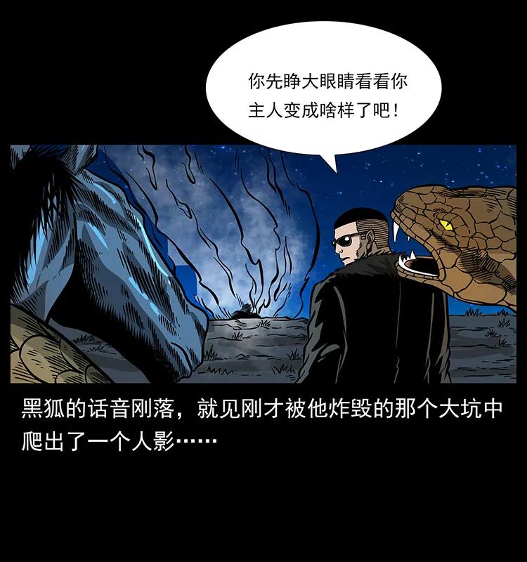 幽冥诡匠 158 妖驹的选择 第52页