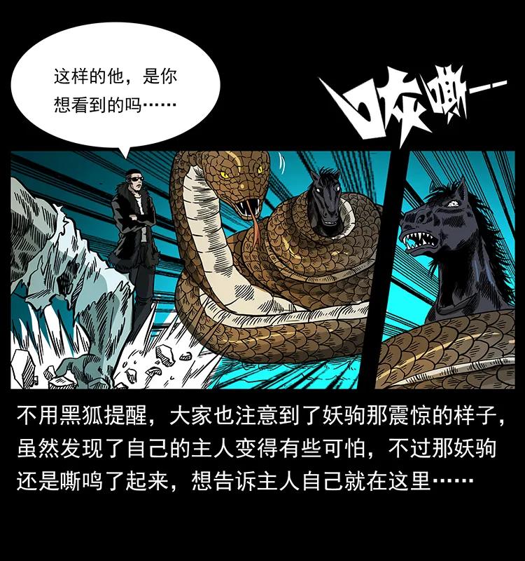 幽冥诡匠 158 妖驹的选择 第55页