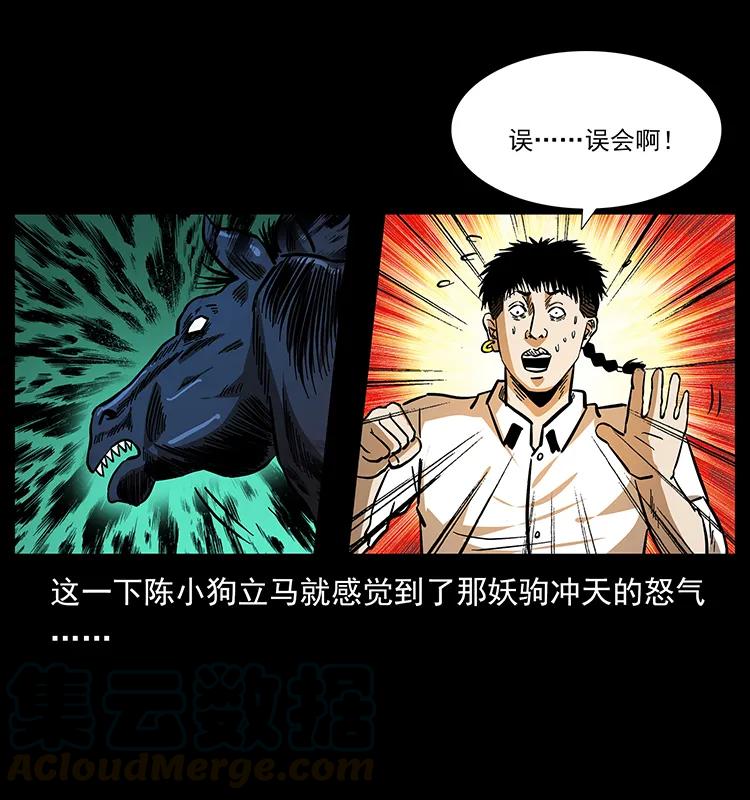幽冥诡匠 158 妖驹的选择 第33页