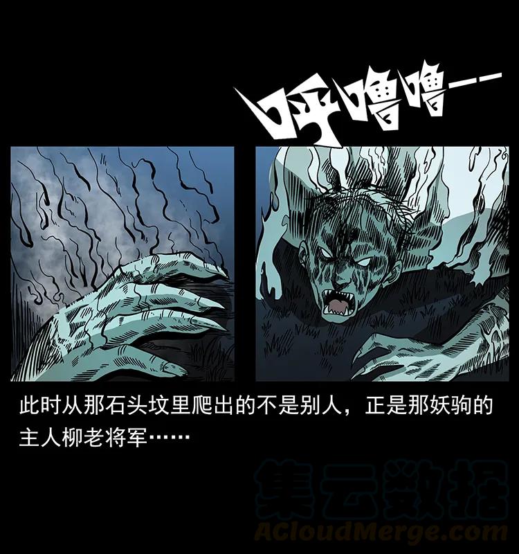 幽冥诡匠 158 妖驹的选择 第53页