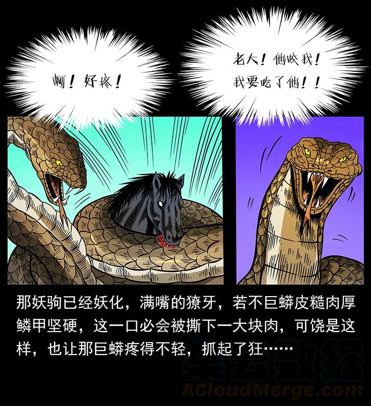 幽冥诡匠 158 妖驹的选择 第49页
