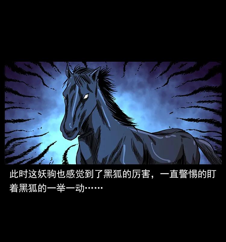 幽冥诡匠 158 妖驹的选择 第40页