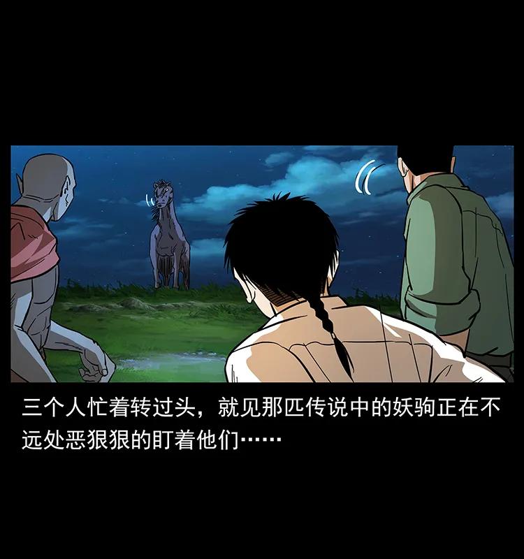 幽冥诡匠 158 妖驹的选择 第16页