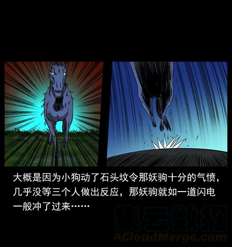 幽冥诡匠 158 妖驹的选择 第17页