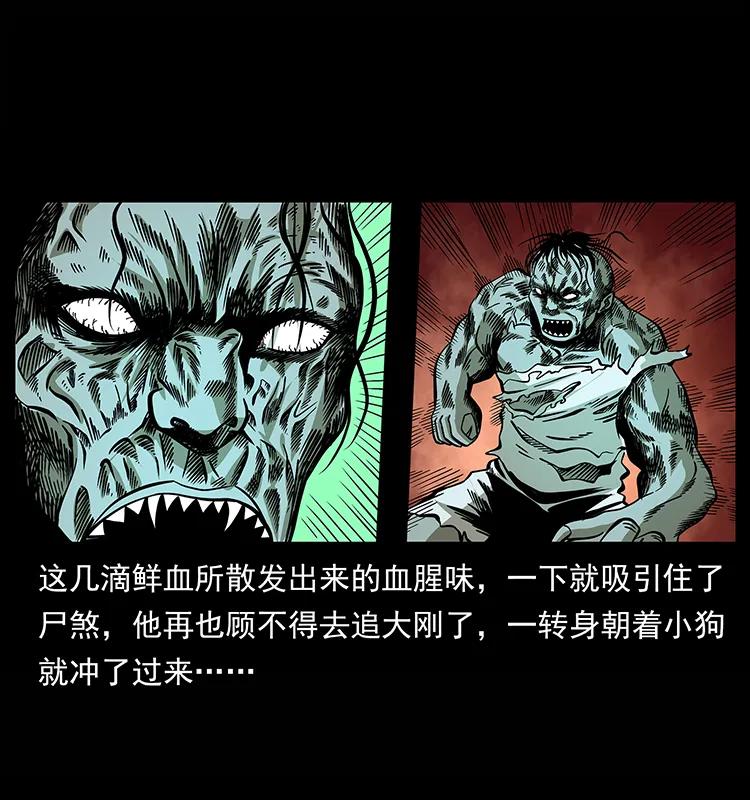 幽冥诡匠 158 妖驹的选择 第70页