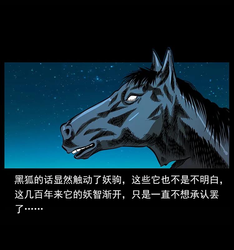 幽冥诡匠 158 妖驹的选择 第66页
