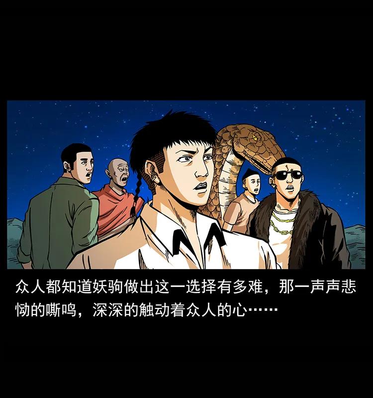 幽冥诡匠 158 妖驹的选择 第90页