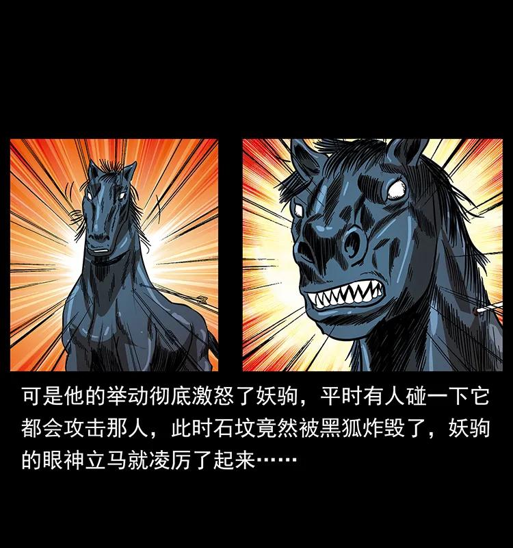 幽冥诡匠 158 妖驹的选择 第44页