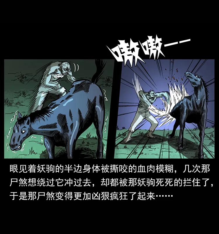 幽冥诡匠 158 妖驹的选择 第78页