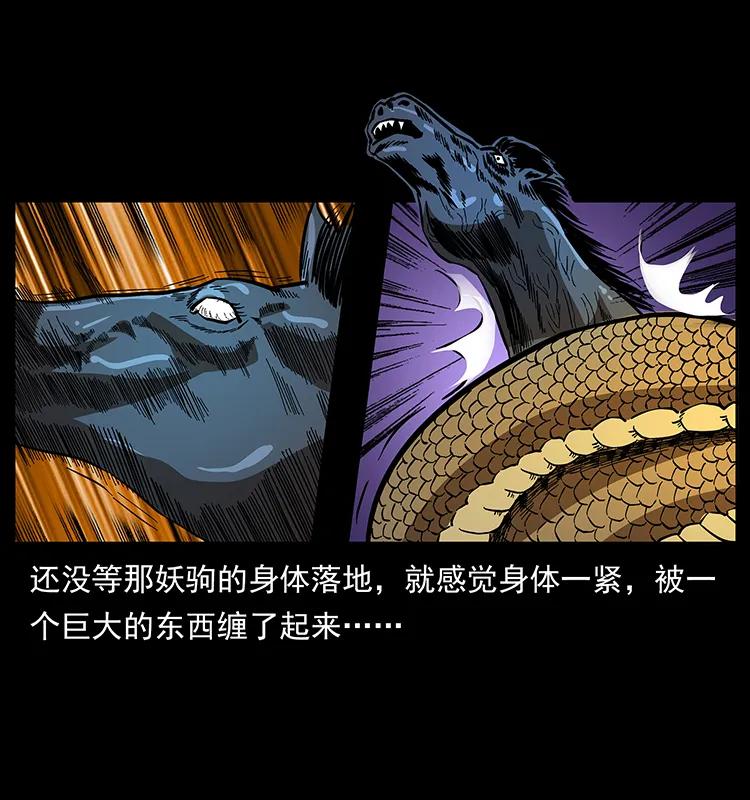 幽冥诡匠 158 妖驹的选择 第47页