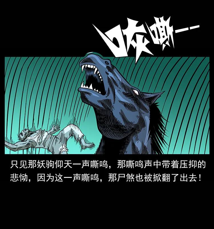 幽冥诡匠 158 妖驹的选择 第84页
