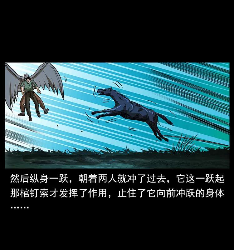 幽冥诡匠 158 妖驹的选择 第30页