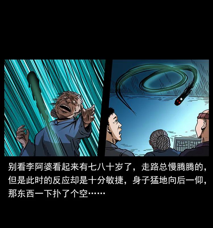 幽冥诡匠 160 李老太太 第47页