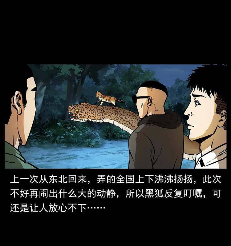 幽冥诡匠 160 李老太太 第18页