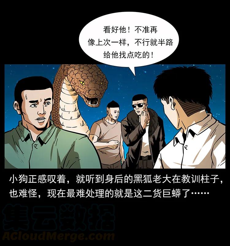 幽冥诡匠 160 李老太太 第17页