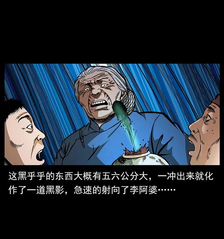 幽冥诡匠 160 李老太太 第46页