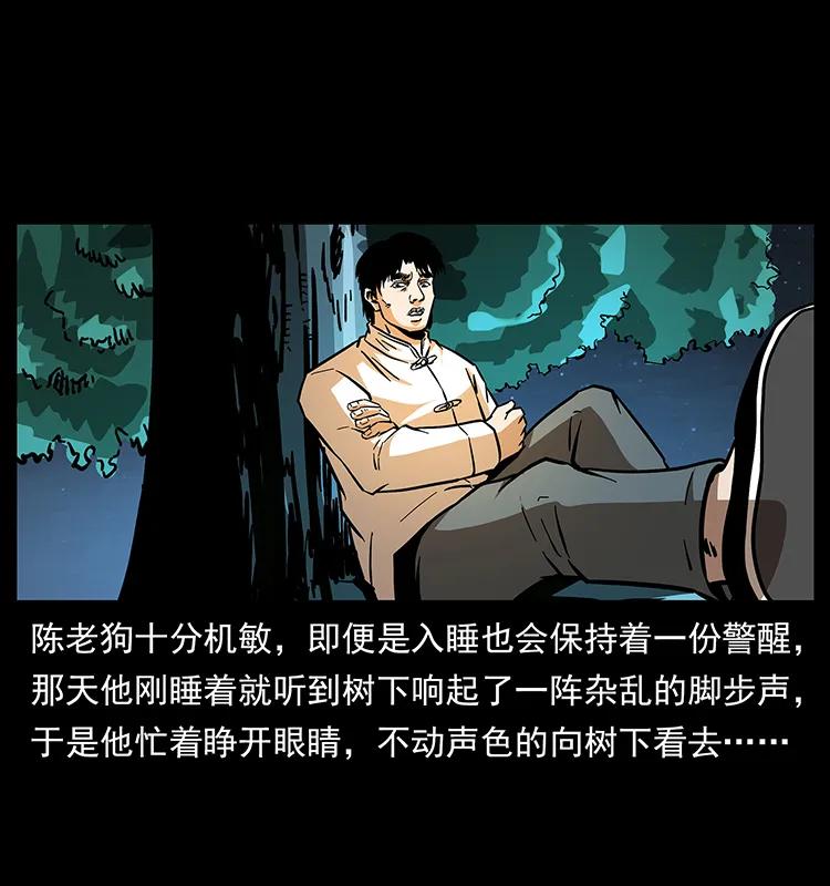 幽冥诡匠 163 陈老狗下南疆 第27页