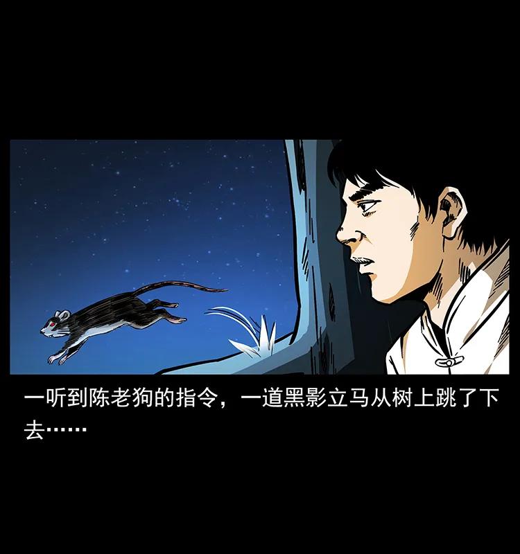 幽冥诡匠 163 陈老狗下南疆 第7页