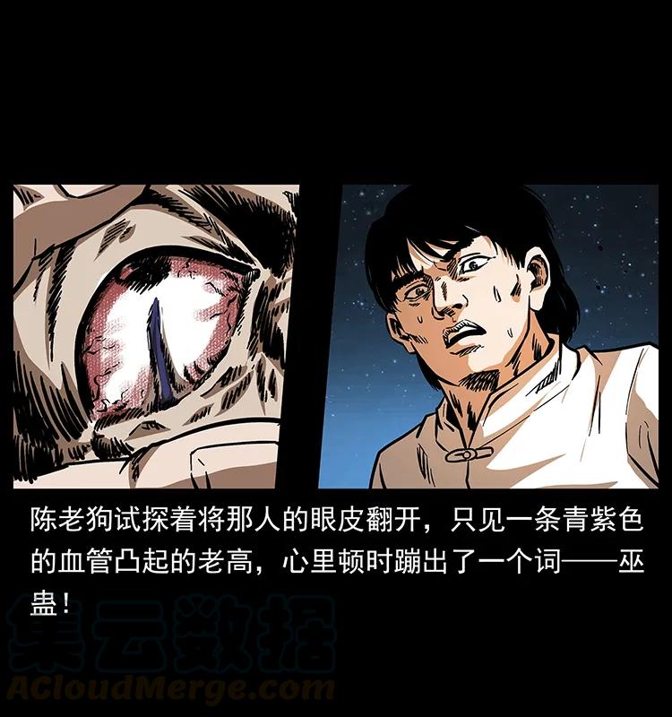 幽冥诡匠 163 陈老狗下南疆 第33页