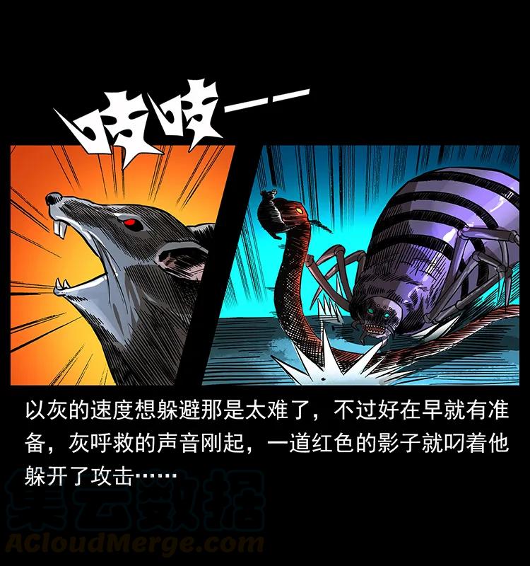 幽冥诡匠 163 陈老狗下南疆 第13页