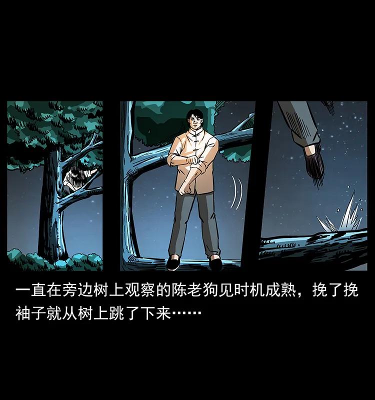 幽冥诡匠 163 陈老狗下南疆 第15页