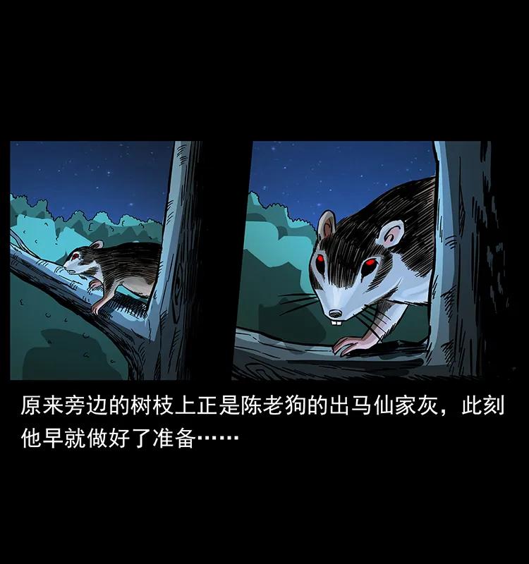 幽冥诡匠 163 陈老狗下南疆 第6页