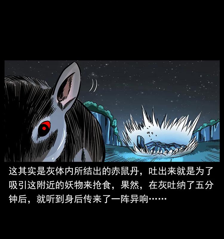 幽冥诡匠 163 陈老狗下南疆 第10页