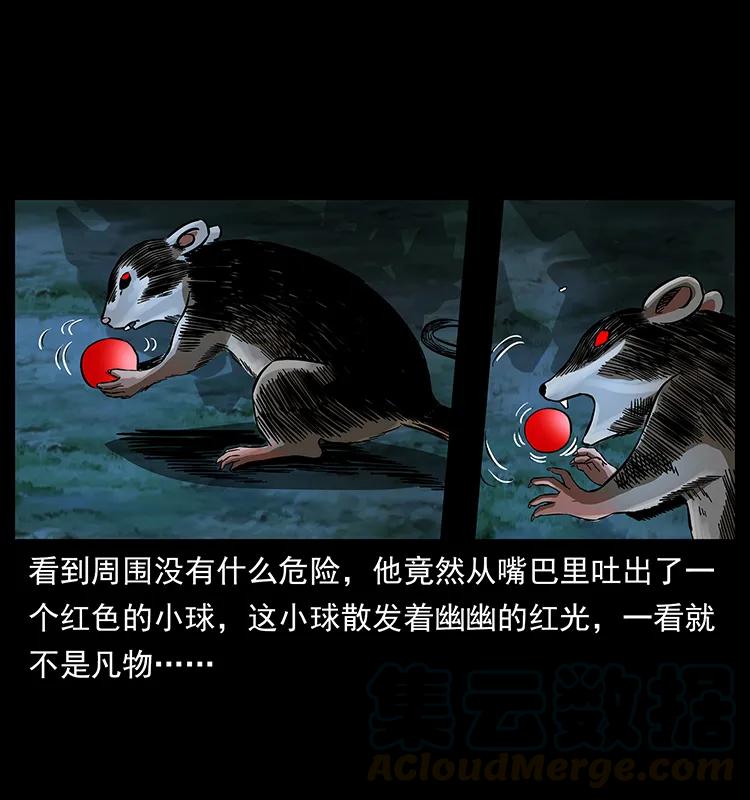 幽冥诡匠 163 陈老狗下南疆 第9页
