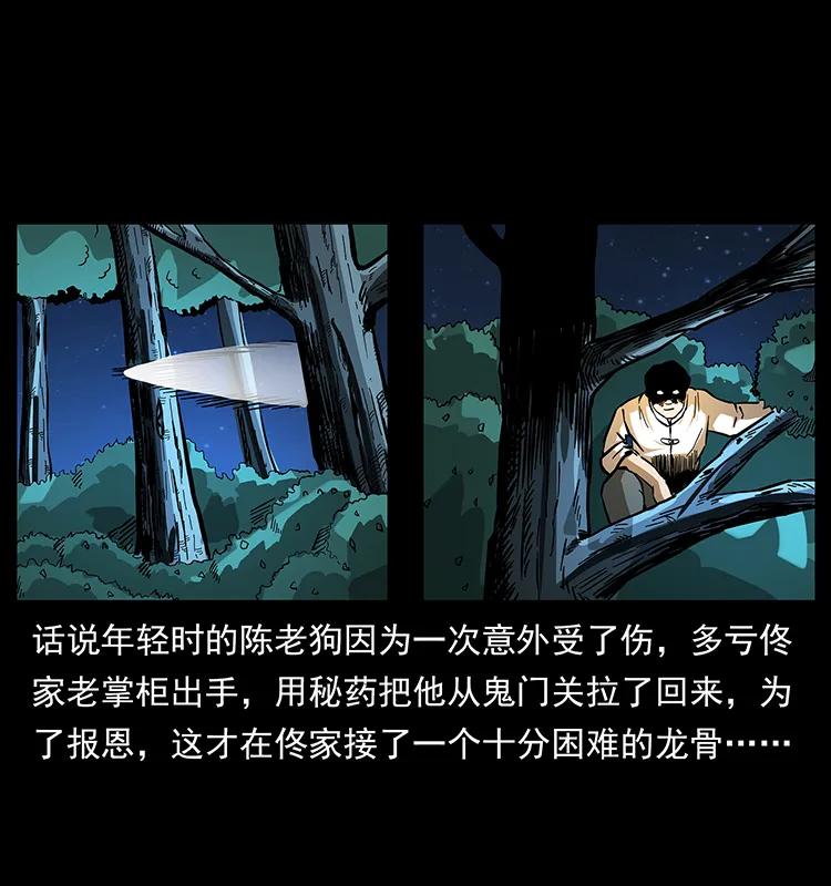 幽冥诡匠 163 陈老狗下南疆 第3页