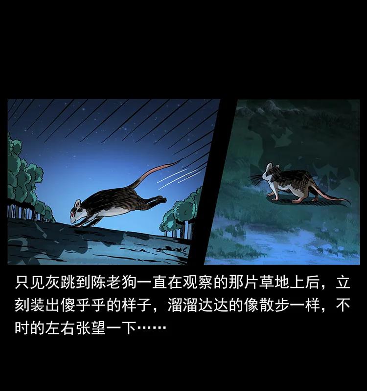 幽冥诡匠 163 陈老狗下南疆 第8页