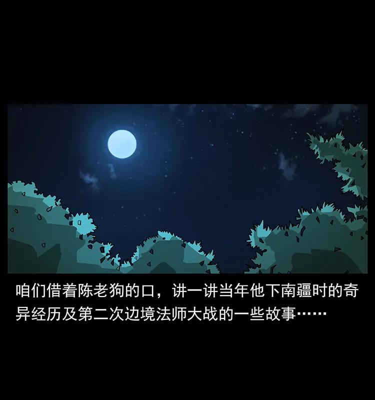 幽冥诡匠 163 陈老狗下南疆 第2页