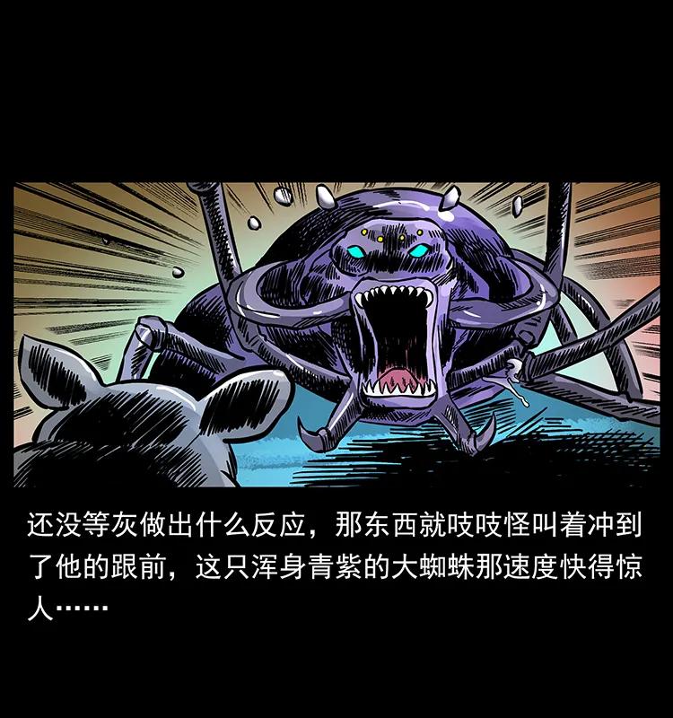 幽冥诡匠 163 陈老狗下南疆 第12页