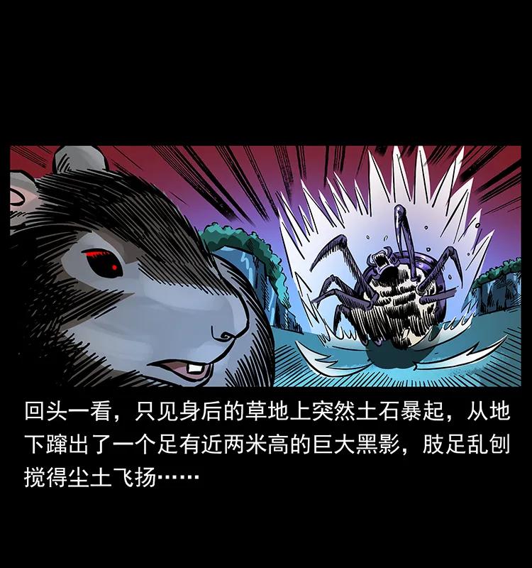 幽冥诡匠 163 陈老狗下南疆 第11页