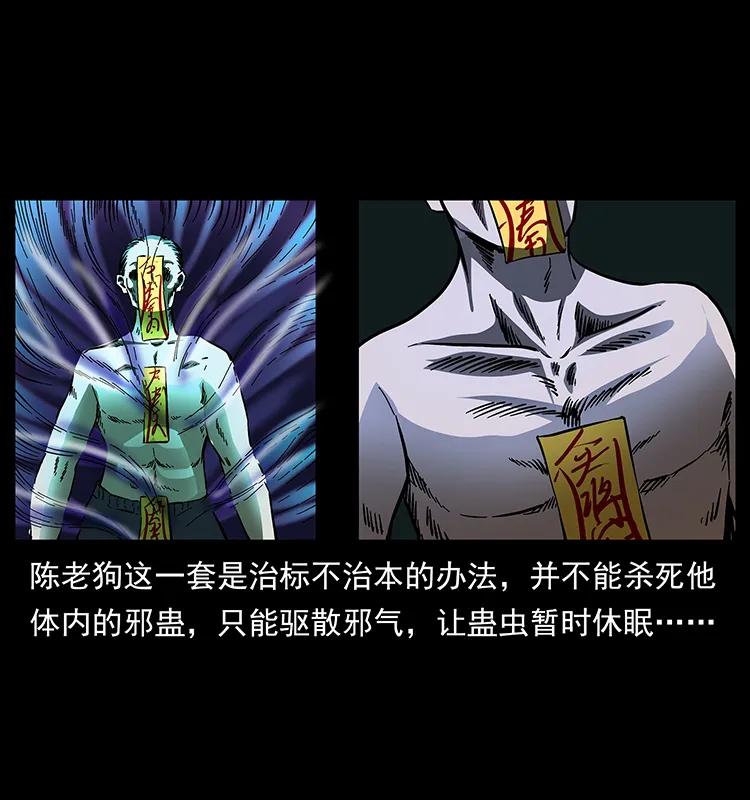 幽冥诡匠 163 陈老狗下南疆 第36页