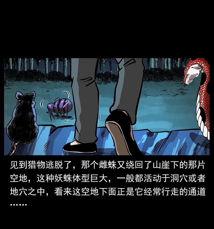 幽冥诡匠 163 陈老狗下南疆 第22页