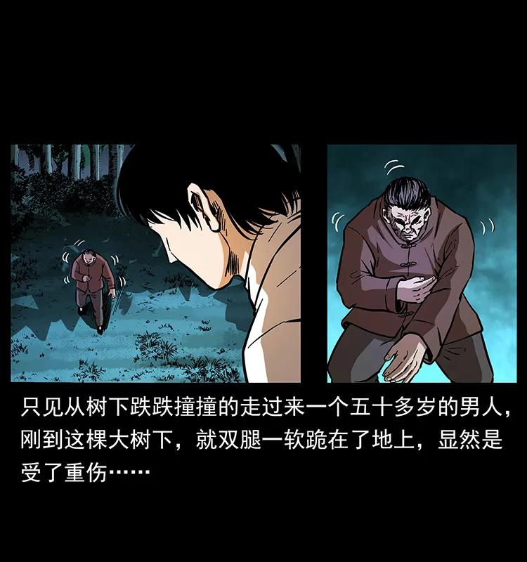 幽冥诡匠 163 陈老狗下南疆 第28页
