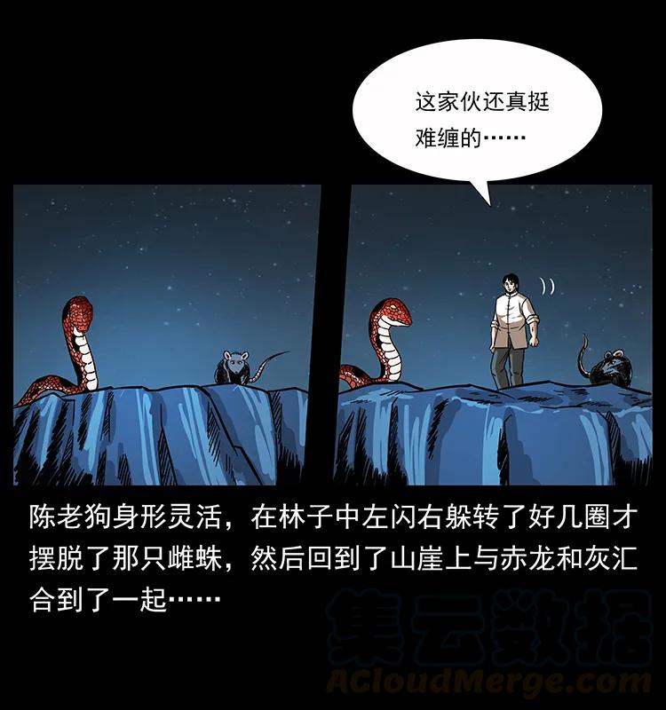 幽冥诡匠 163 陈老狗下南疆 第21页