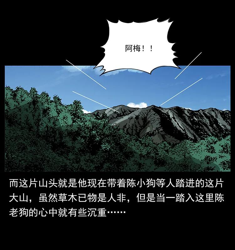 幽冥诡匠 167 陈老狗遇险 第82页