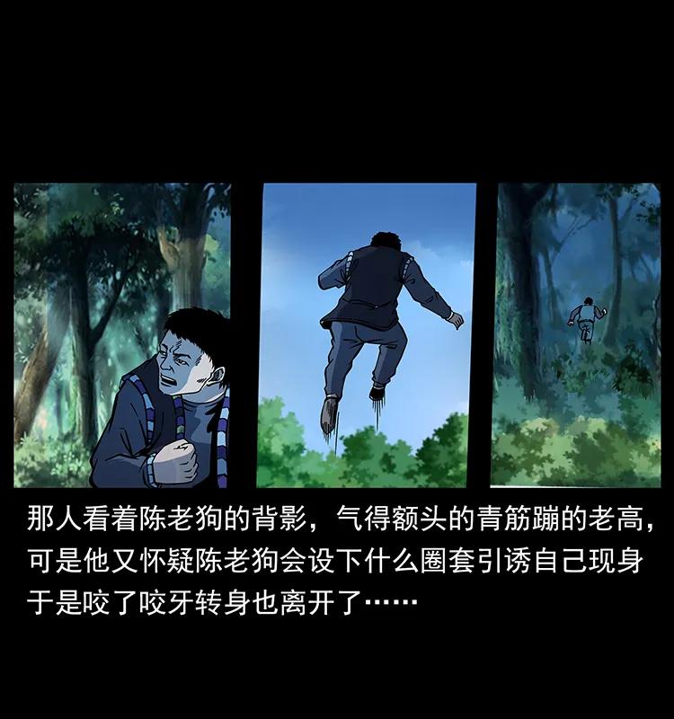 幽冥诡匠 167 陈老狗遇险 第39页