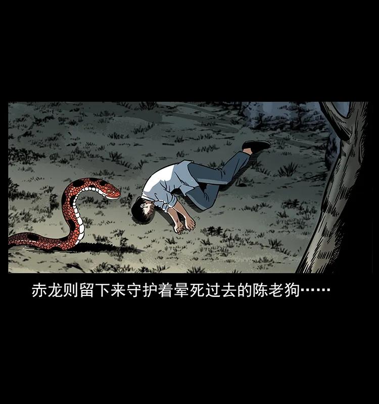 幽冥诡匠 167 陈老狗遇险 第45页