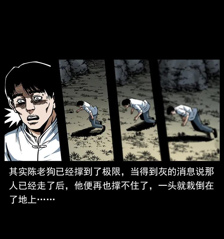 幽冥诡匠 167 陈老狗遇险 第41页