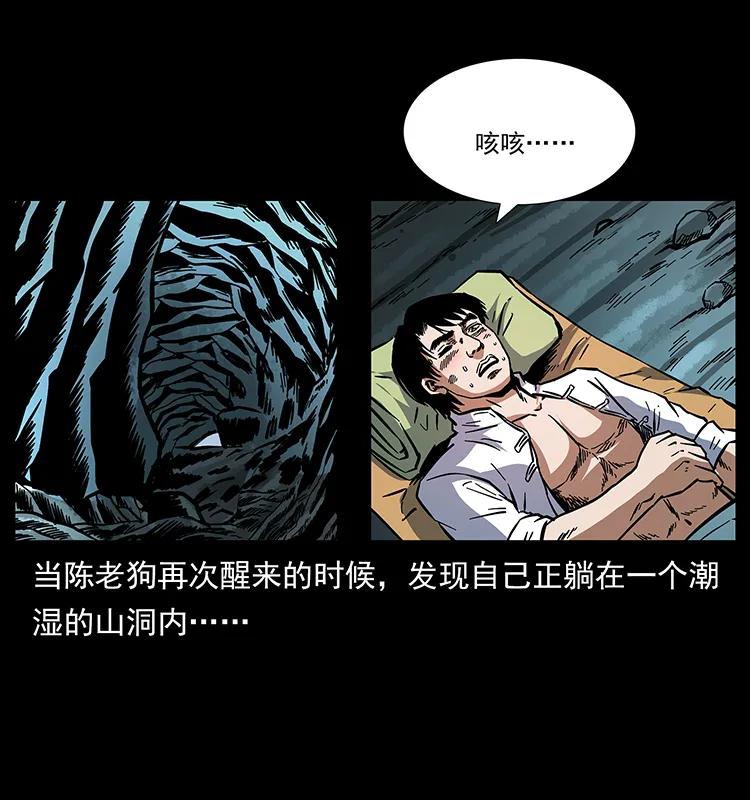 幽冥诡匠 167 陈老狗遇险 第51页